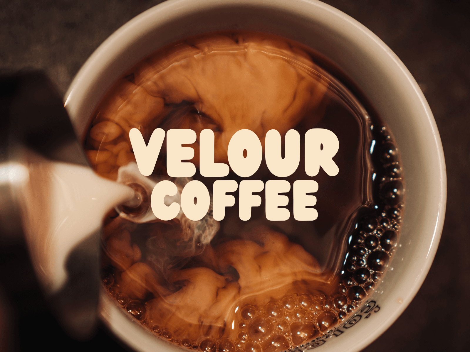 Velour Coffee: Brand Identity Design live preview